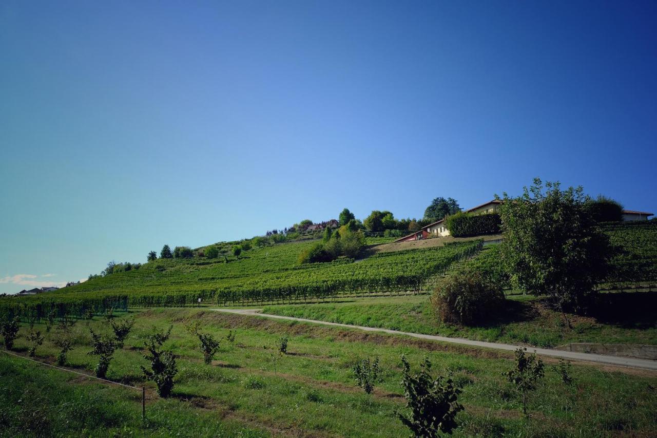 Apartment Langhe Beauty Experience 